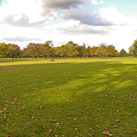 A photo of the green space at Crown East Field