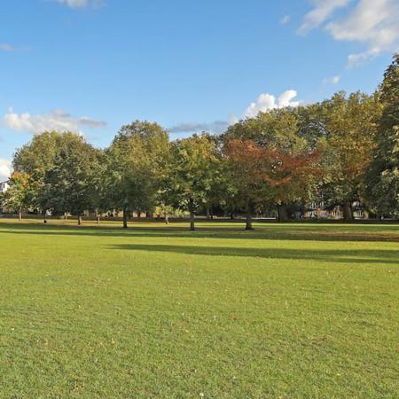 A view of Hub Field in Victoria Park