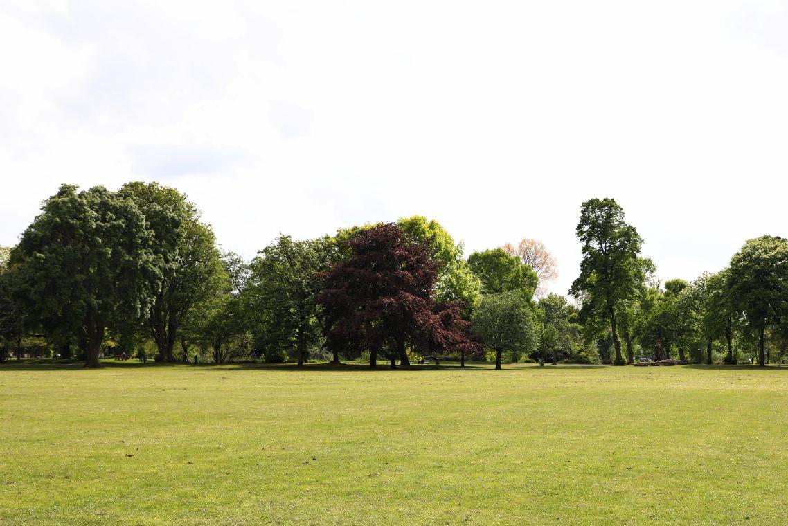 View of Queens' Field Victoria Park with trees in background