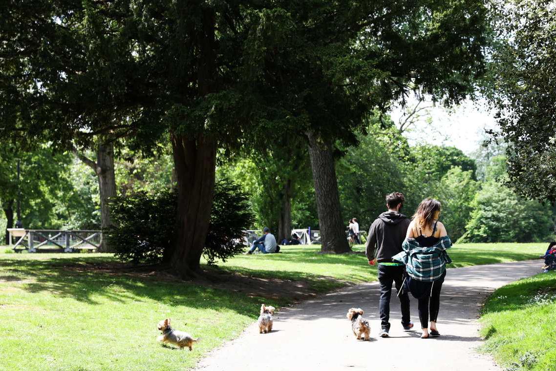 People walking their dogs, Victoria Park East