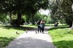 People walking their dogs, Victoria Park East